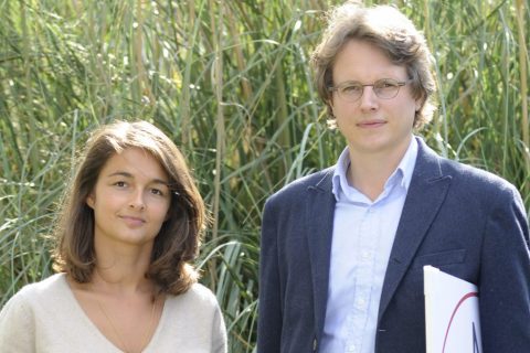 年々高まるフランスでの日本食ブーム。現地で評価されるポイントは?